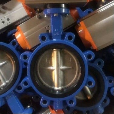 Watermedium PN10 PN16 Rubber Seal Lug Type Butterfly Valve Lt Type Worm Geactiveerd