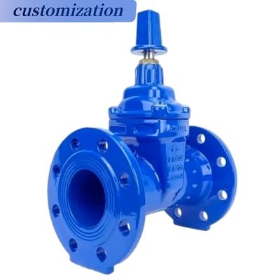 Op maat gemaakte stuurwiel werking Flanged Casr Iron Wedge Disc Gate Valve met elastische EPDM rubberen stoel