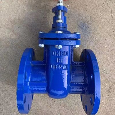 Duurzaam medium temperatuur Y-type strainer gietijzer messing zegel metalen stoelpoortklep