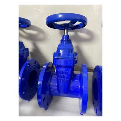 Stopstructuur 40 mm-2000 mm Ductiel ijzer Lang stengel Uitbreiding Direct begraven poortklep