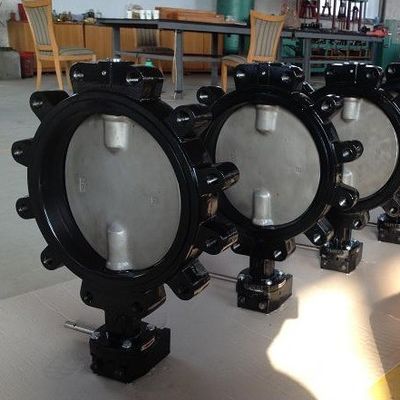 Laagtemperatuur gietijzeren wafer Lug Type Butterfly Valve Distributor