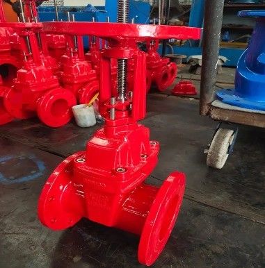 Krijg de beste waterbeheerervaring met 3 " handmatig stijgend stamflensdeursleutel