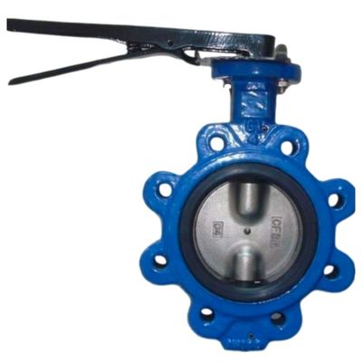 Laagtemperatuur buigzame ijzeren vlinderklep Blauwe epoxycoating voor hydraulische systemen