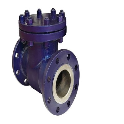 10 inch DN100 PN16 PN25 PN40 CI Metal Seat High Pressure Air Check Valve voor armaturen