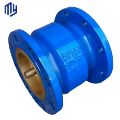 Diafragmastructuur Hc41x Pn10 Pn16 Sump Pump Double Flange Muffler Silent Check Valve