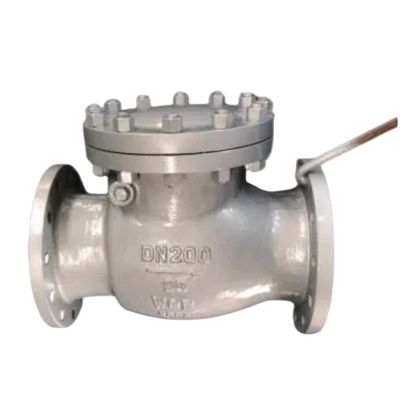 ODM-ondersteuning Multi Single Disc Door Flanged Swing Type Check Valve Drain Valve CE-certificaat