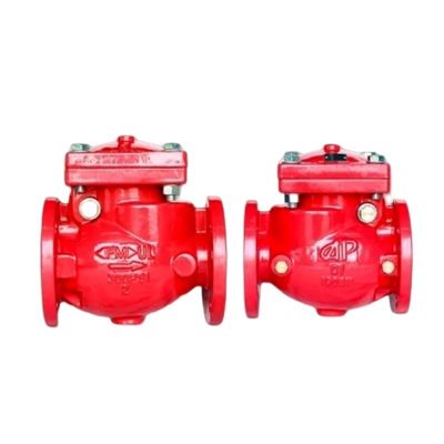 Ansi 6" gietijzer Swing Check Valve Niet-Retour Drain Valve met Customized Service