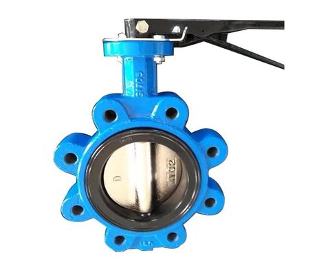 API609 EPDM bekleed PTFE gietijzer Lug Type Wafer Butterfly Valve voor op maat gemaakte behoeften