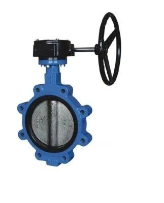 API609 EPDM bekleed PTFE gietijzer Lug Type Wafer Butterfly Valve voor op maat gemaakte behoeften