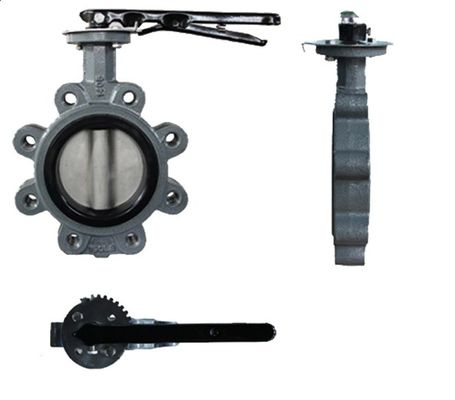 API609 EPDM bekleed PTFE gietijzer Lug Type Wafer Butterfly Valve voor op maat gemaakte behoeften