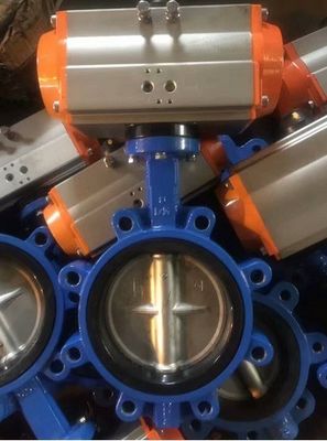 8 inch DN200 PN16 Ductiel ijzeren lichaam Disc SS410 Stem Rubber Seat Bore Head Wafer Lug Lt Type Butterfly Valve