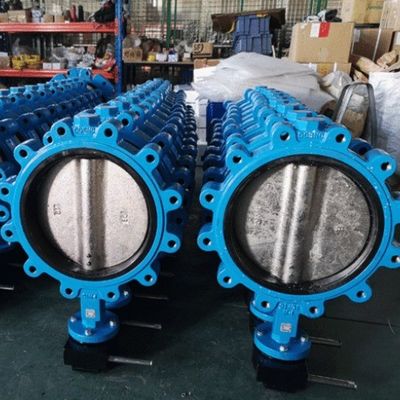 Op maat gemaakte JIS 10k/5k PN10/16 Aluminium Brons Roestvrij staal Body EPDM NBR PTFE Seat Lug Type Butterfly