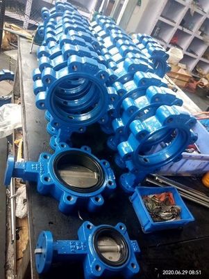 Op maat gemaakte JIS 10k/5k PN10/16 Aluminium Brons Roestvrij staal Body EPDM NBR PTFE Seat Lug Type Butterfly