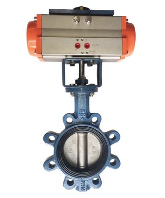 Op maat gemaakte JIS 10k/5k PN10/16 Aluminium Brons Roestvrij staal Body EPDM NBR PTFE Seat Lug Type Butterfly