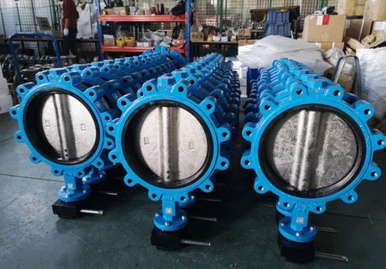 Gegooid ductiel ijzer SS Lt Wafer type vlinderklep met EPDM PTFE afdichtingsring op maat