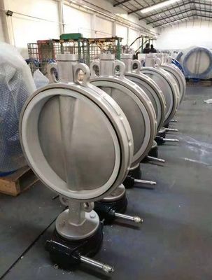 Op maat gemaakte 400 mm DN300 vlinderklep van roestvrij staal voor betrouwbare prestaties