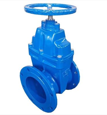 CI/DI/WCB/SS Aanpassen van een ventiel met een hoge luchtvrijstelling voor een Y-type strainer