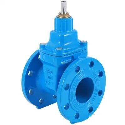 CI/DI/WCB/SS Aanpassen van een ventiel met een hoge luchtvrijstelling voor een Y-type strainer