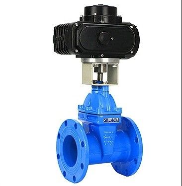 DN150 PN16 WCB NKZ961H Elektrische flense vacuümpoortklep voor aangepaste eisen