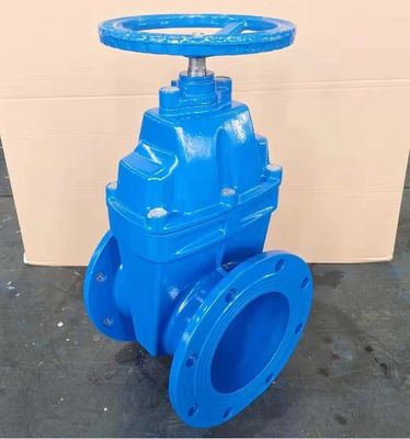 Gepersonaliseerd DN80 DN150 DN200 DN400 DN500 Metalen stoelpoortklep met Y-type strainer
