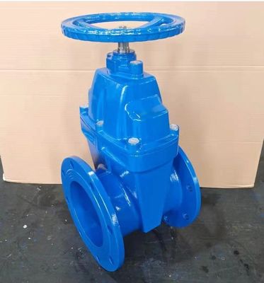 Gepersonaliseerd DN80 DN150 DN200 DN400 DN500 Metalen stoelpoortklep met Y-type strainer