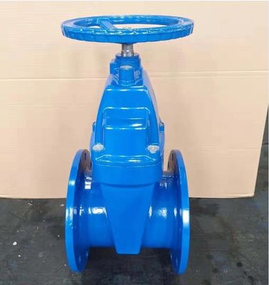 Gepersonaliseerd DN80 DN150 DN200 DN400 DN500 Metalen stoelpoortklep met Y-type strainer