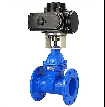 Verkrijgbaar OEM koolstofstaal WCB NKZ961H elektrische flense vacuümpoortklep standaard DIN F6