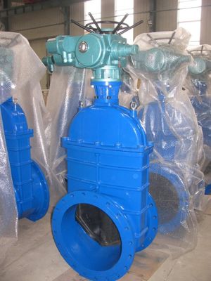 Verkrijgbaar OEM koolstofstaal WCB NKZ961H elektrische flense vacuümpoortklep standaard DIN F6