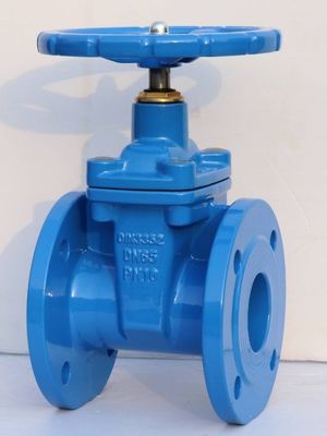 Waterstroomcontrole HT200 gietijzeren valve met een draagbare ijzeren handwiel