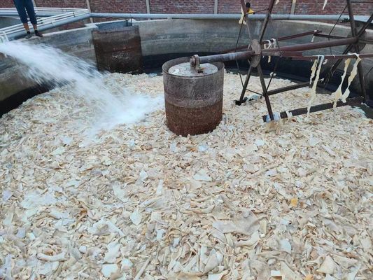 Gelatienapparatuur van roestvrij staal voor huidwasinstallatie op maat