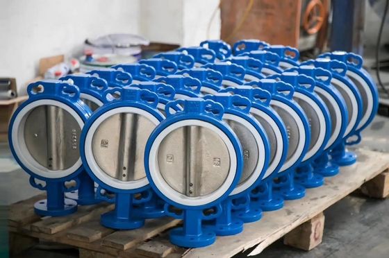 Aanpasbare vlinderklep van roestvrij staal met naverkoopondersteuning en OEM-opties