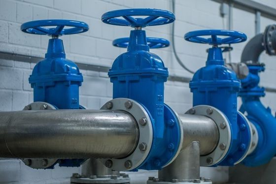 Deeltjes van rubberen hekkleppen voor kleppen en toebehoren op maat van uw specificaties