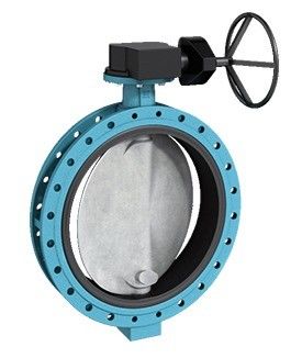 Wcb Body EPDM Seated Wafer/Lug Butterfly Valve met aangepaste ondersteuning en poortgrootte