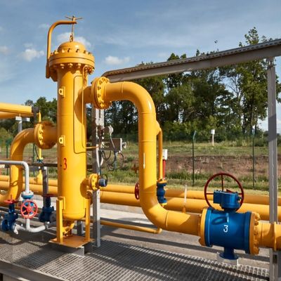 Vervaardigingsbedrijf LPG-gasvulmachine opslagtank skidstation met cilinder