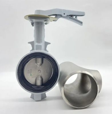 Portgrootte volgens de eisen van de klant Zeewater vlinderklep DN100 DN500 2" 4