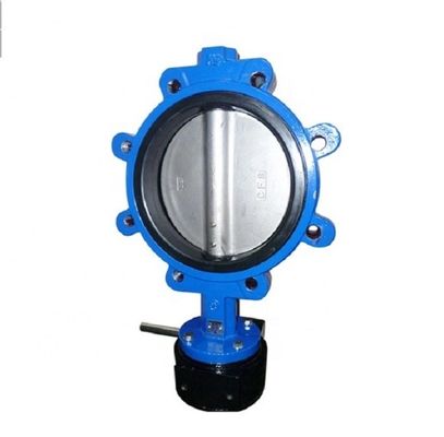 Op maat gemaakte gietijzeren draaibankverbinding Lug Support Butterfly Valve Pipe Fitting