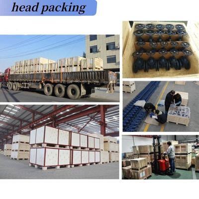 Verkoop CF8 Di Ci EPDM PTFE sterk zuur ductiel ijzer hefboom bediend wafer vlinder klep