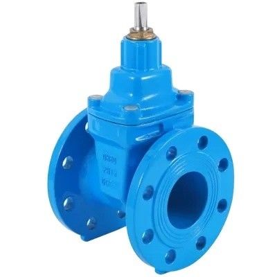 DN80 DN200 Y-type strainer voor HDPE-buis PN16 buigzaam ijzer-koolstofstaal hekklep