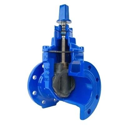 DN80 DN200 Y-type strainer voor HDPE-buis PN16 buigzaam ijzer-koolstofstaal hekklep