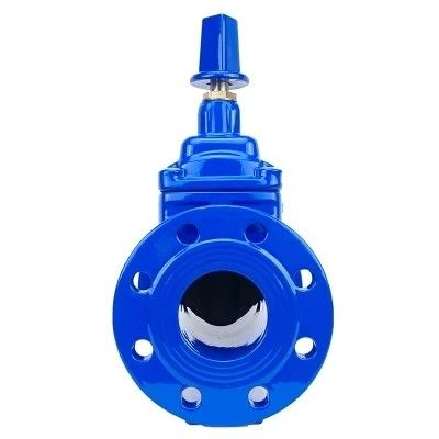 DN80 DN200 Y-type strainer voor HDPE-buis PN16 buigzaam ijzer-koolstofstaal hekklep