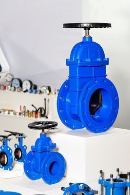 Y-type Industrial Rising Stem Steel Motor Gear Beheerd Wedge Roestvrij staal hekklep