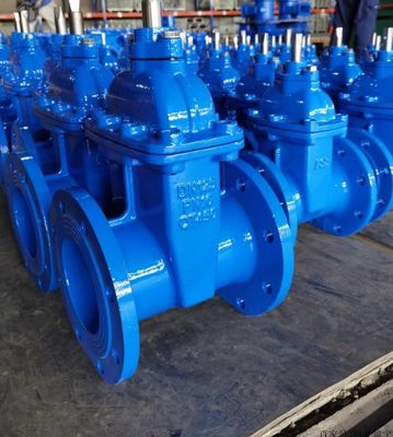 Stainless Steel Gate Valve met flensaansluiting en handmatige bediening