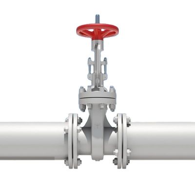 Portgrootte PN16 DN50-DN600 Handmatig buigzaam ijzer waterwieg roestvrij staal poortklep lijst