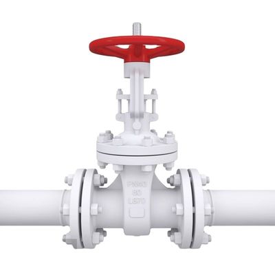 Op maat gemaakte service Flanged gietijzeren poortklep met metalen afvoer en stop structuur