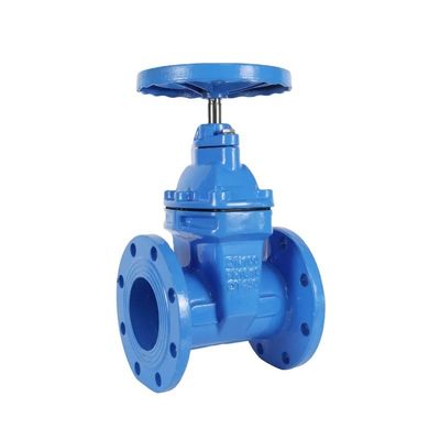 Volledig certificaat 4 inch DN100 buigzaam ijzer Y strainer afvoerklep voor gladde stroom