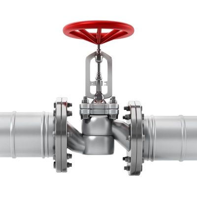 Volledig certificaat 4 inch DN100 buigzaam ijzer Y strainer afvoerklep voor gladde stroom