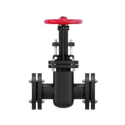 12 inch hoge druk gietijzer flens bolklep op maat voor optimale stroomcontrole