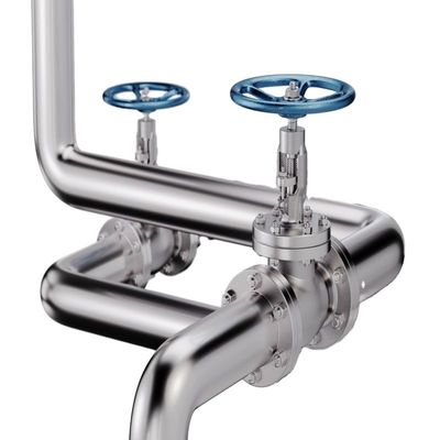 Op maat gemaakte service 300 mm CE 6 inch stijgende stam DI CI ductiel ijzeren flenspoortklep