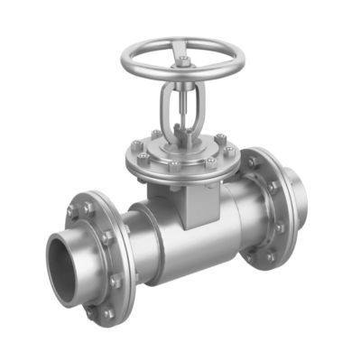 Op maat gemaakte service 300 mm CE 6 inch stijgende stam DI CI ductiel ijzeren flenspoortklep