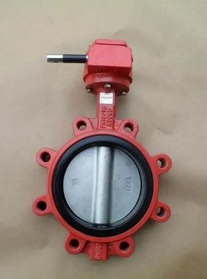 ODM ondersteund Lug Type Butterfly Valve met aangepaste poortgrootte en veiligheidskenmerken